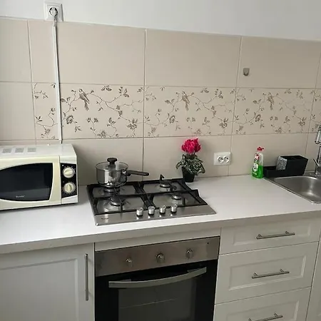 Daire 2 Bdrm At Parliament Palace Bükreş
